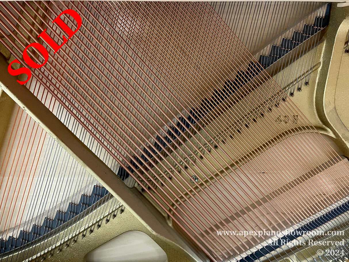 Interior view of a grand piano focusing on the strings and soundboard, with a close-up of the copper bass strings transitioning to steel treble strings, the gold-painted cast iron plate, and the black and white keys visible in the background.