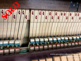 Internal mechanism of a piano showcasing hammers and dampers, indicating a close-up view of a piano's action, with visible felt hammers aligned in rows, wooden components, and metal strings in the background, representative of the intricate craftsmanship involved in piano construction and maintenance.