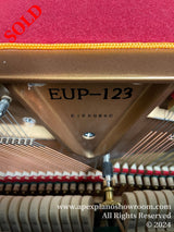 Close-up view of the interior of a piano showing the model number EUP-123 on a golden frame, with strings, tuning pins, and the dampers visible in the background, focusing on piano manufacturing and assembly details.
