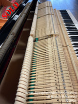 Interior view of a grand piano showing hammers, dampers, and strings, with a close-up on the action mechanism and partially visible keyboard.