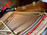 Interior view of a grand piano showing strings and hammers, with a focus on the gold-painted iron frame and intricate string configuration set against felt dampers and the wooden soundboard.