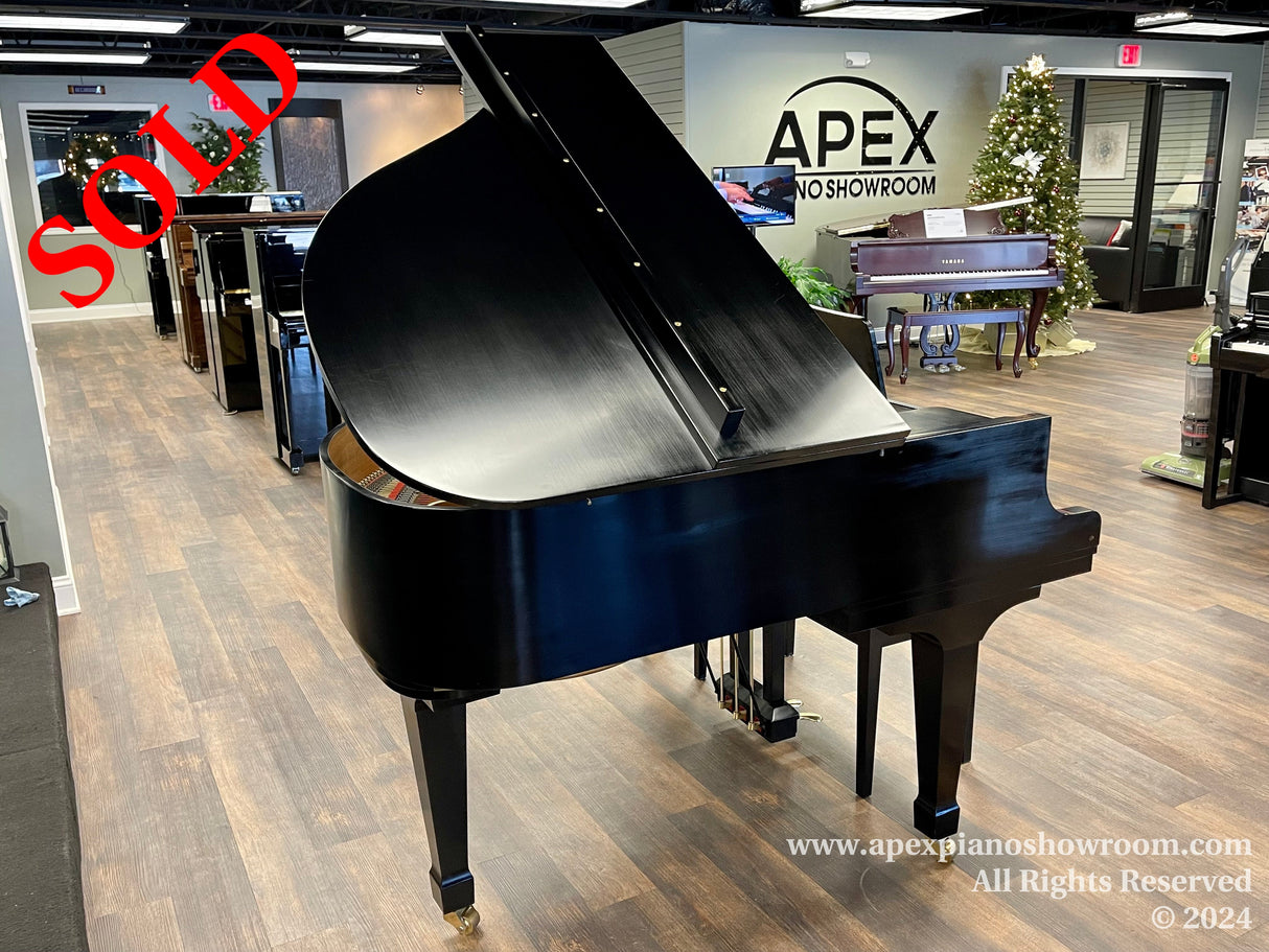 A glossy black grand piano prominently displayed in the Apex piano showroom with its lid open, showcasing its polished curves and standing on a wood-patterned floor, with various other pianos and a decorated Christmas tree in the background, creating an elegant atmosphere for piano enthusiasts and shoppers.