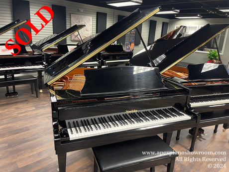 A variety of grand pianos displayed in a showroom with open lids showing the strings and hammers, glossy black finishes, and one piano with a contrasting wooden interior.