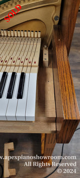Close-up of the interior of a grand piano showcasing the action mechanism, hammers, and strings with a focus on the felt hammer heads and damper mechanism — also shows the side of the polished wood piano case and keyboard.