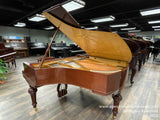 A grand piano with a glossy mahogany finish is prominently displayed with its lid open, revealing its intricate interior strings and hammers, set in a showroom surrounded by various other pianos under soft artificial lighting.