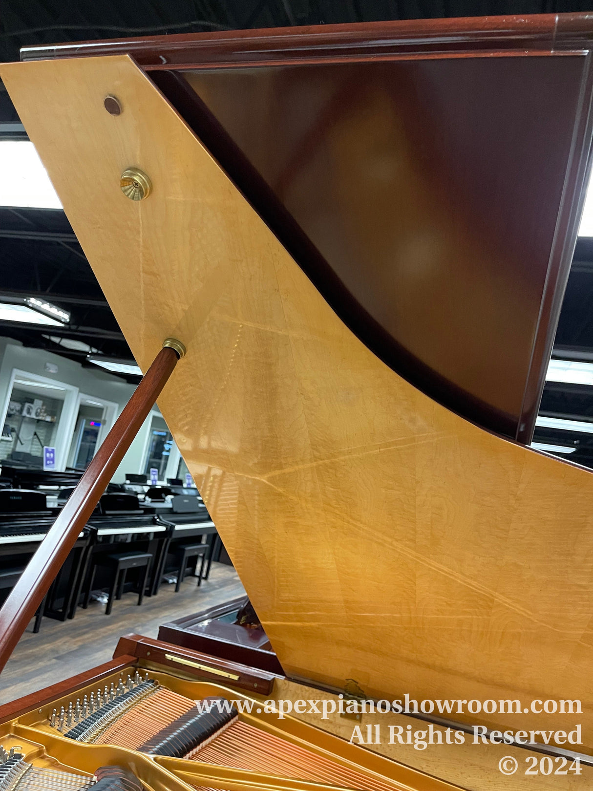 A close-up view of an open grand piano displaying its high-gloss wooden finish, intricate internal string mechanism, and a partial view of the keyboard, situated in a piano showroom with other pianos in the background.