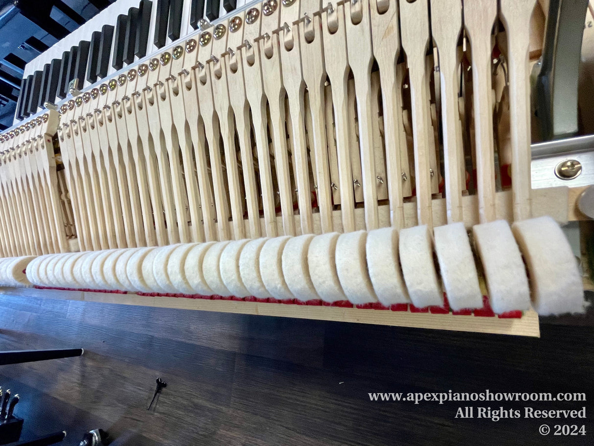 Interior mechanism of a grand piano showing intricate details of the hammers and dampers, components essential for producing sound within the instrument.