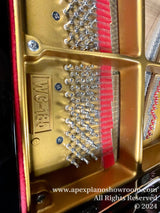 Close-up view of a grand pianos gold-painted cast iron frame, showcasing the tuning pins, strings, and dampers. A red felt strip is visible between the tuning pins and strings, and the brand W is embossed on the frame, indicating the pianos make. The craftsmanship reflects the attention to detail in piano construction, highlighting the pianos internal mechanism responsible for its sound quality.