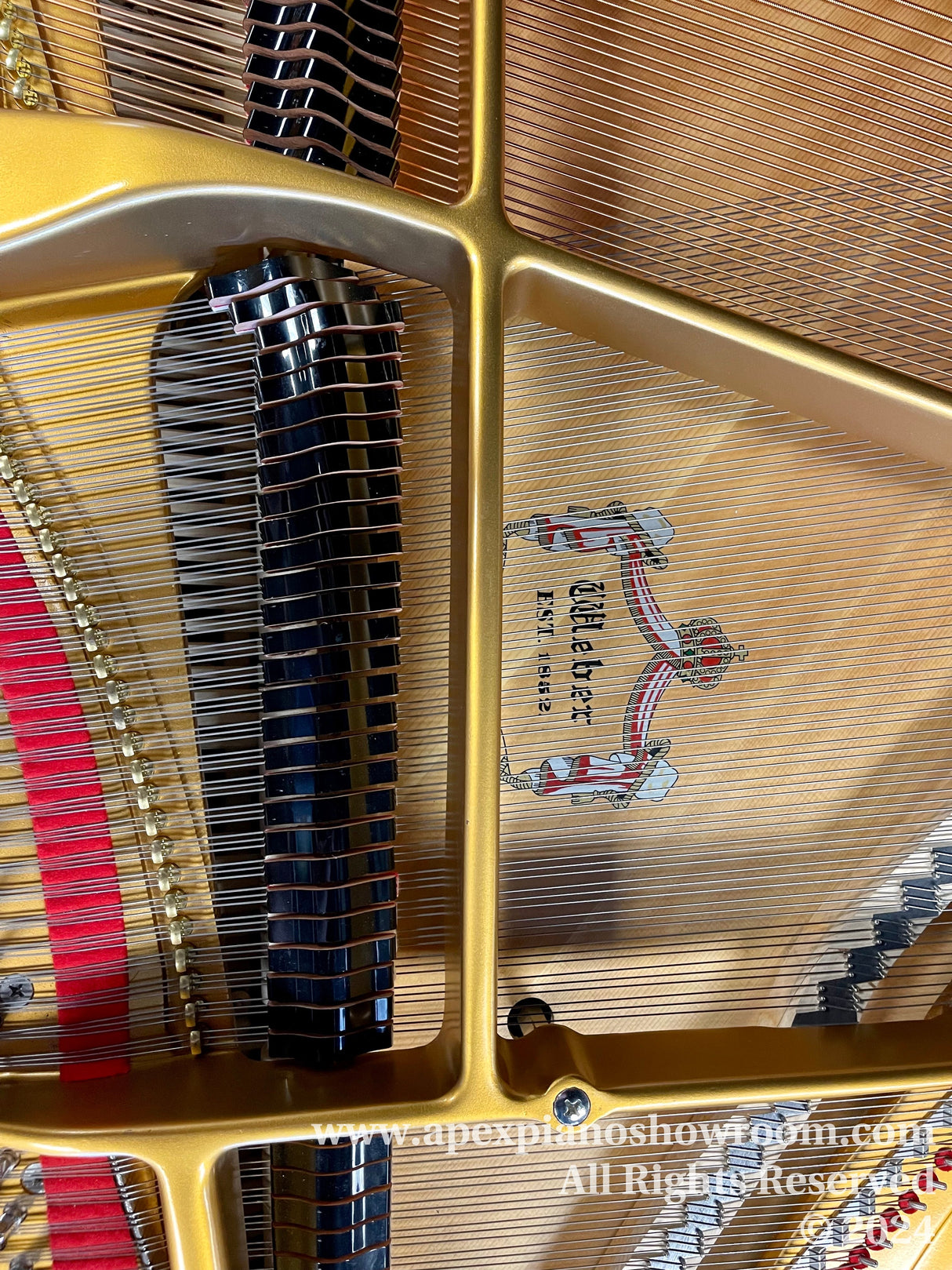 Interior view of a grand piano showing the strings and the cast iron frame, with a focus on the gold-painted harp and a decal stating the brand on the soundboard.