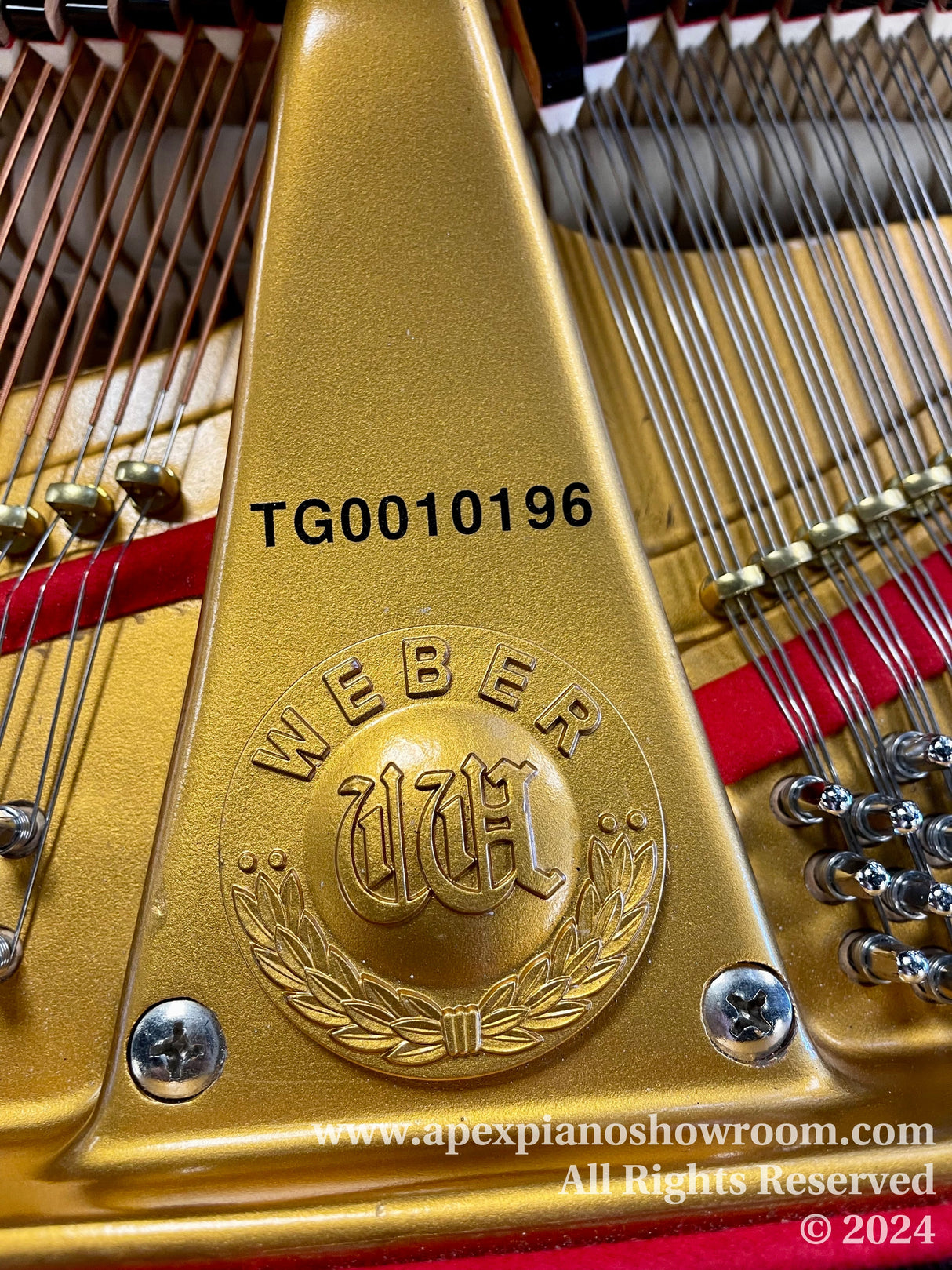 A close-up view of the gold-painted iron frame inside a Weber piano, featuring the brands emblem and model number TG0010196.