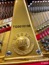 A close-up view of the gold-painted iron frame inside a Weber piano, featuring the brands emblem and model number TG0010196.