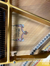 Interior view of a grand piano showcasing the golden frame, strings, and intricate hammer mechanism with a manufacturers logo prominently displayed on the soundboard.