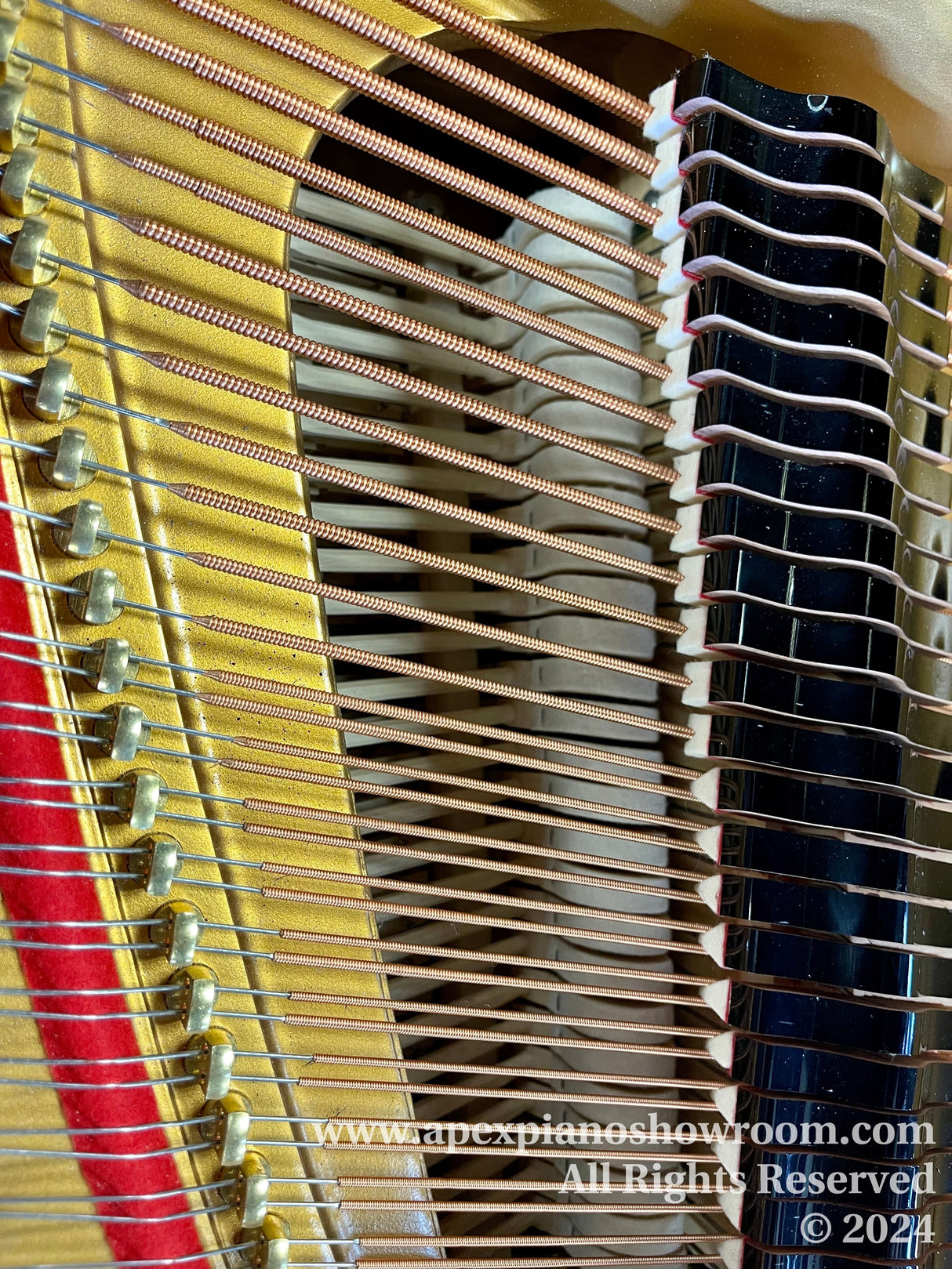 Close-up view of a pianos internal mechanism showing copper wound bass strings and steel treble strings attached to tuning pins, felt dampers in black, and gold-painted cast iron frame, embodying the intricate design and craftsmanship of a pianos soundboard and string layout.