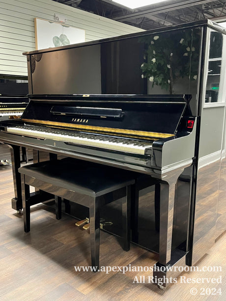A glossy black Yamaha upright piano in a piano showroom with a matching piano bench, reflecting a potted plant in its polished surface.