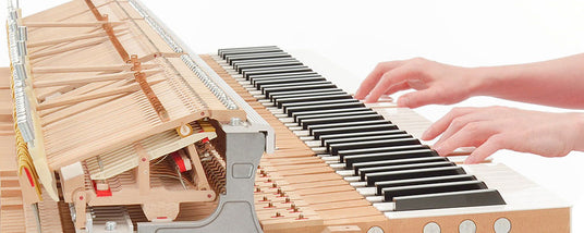 A person's hands playing a grand piano with a cross-sectional view showing the internal mechanism of the hammers and strings.