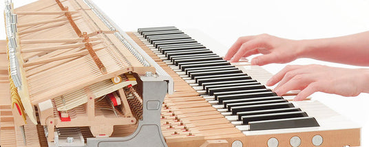 Close-up of a person playing a grand piano, showing the internal mechanism with hammers and strings on the left and hands pressing keys on the right.