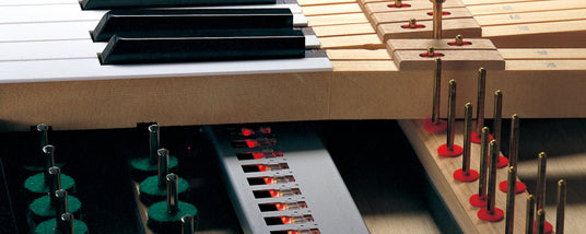 Close-up view of a piano's internal mechanism, showing hammers, strings, and dampers alongside the keyboard.