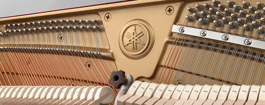 Interior view of a grand piano showcasing the strings, tuning pins, and the cast iron plate with a manufacturer's logo embossed.