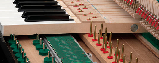 Close-up view of the interior mechanism of a piano, showing the hammers, strings, and dampers.