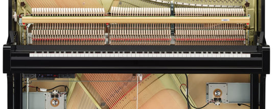 Interior view of a grand piano revealing the strings, hammers, and soundboard within a black piano casing.