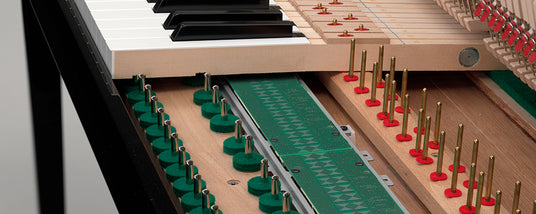 Close-up view of a grand piano's interior showing the hammers and strings, with a focus on the piano's action, the mechanical movement that translates key presses into sound.