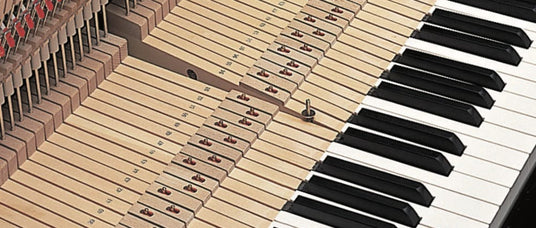 Close-up view of a grand piano mechanism, showing hammers, strings, and keys, with numbered parts for tuning or maintenance.